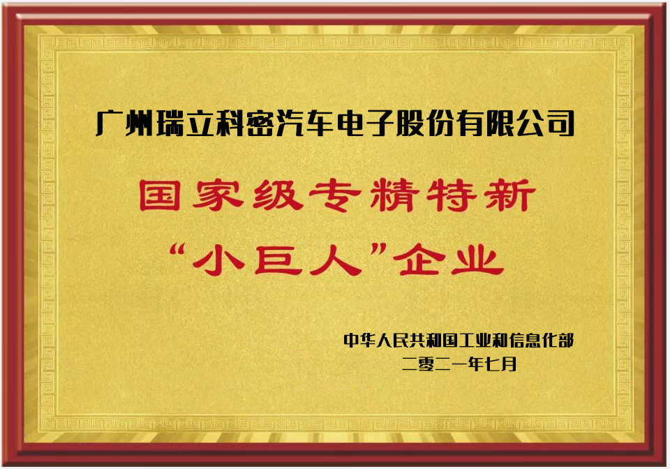 國家級專精特新"小巨人"企業(yè)